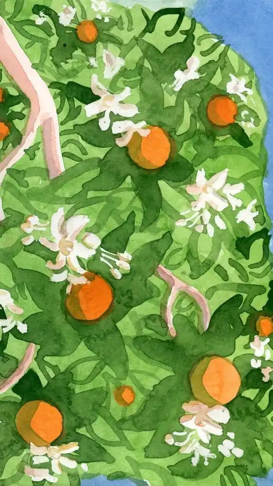 A vibrant orange tree laden with ripe fruit and delicate white blossoms, depicted in a watercolor style.