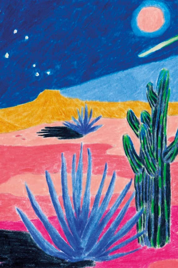 A vibrant, stylized illustration of a tall green cactus with vertical ridges standing in a desert landscape under a starry blue sky.