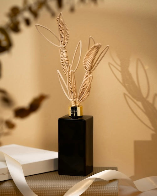 Memo Paris US | Parisian luxury perfume house | Official