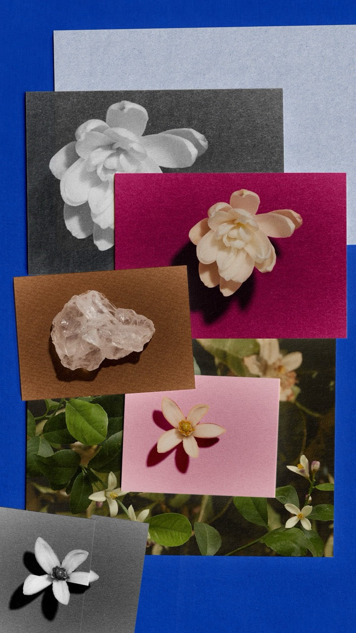 Memo Paris | Marfa | Hair perfume