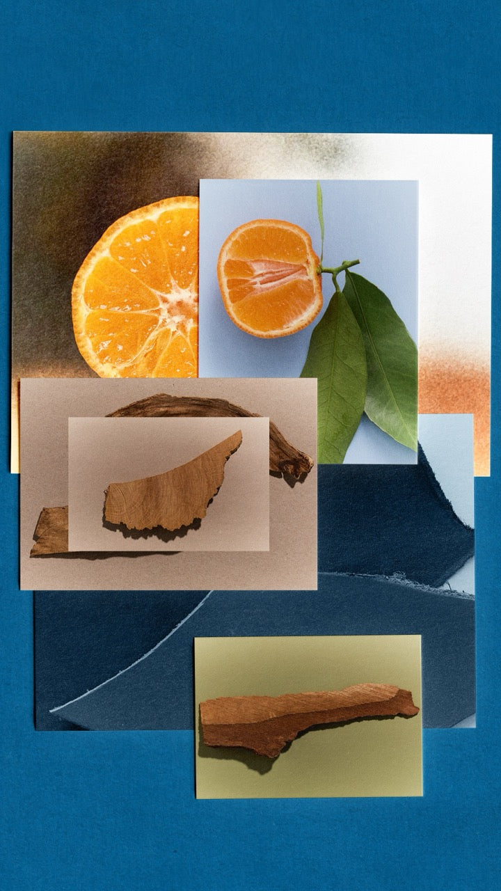 Ocean Leather Eau de Parfum for oceanic freshness