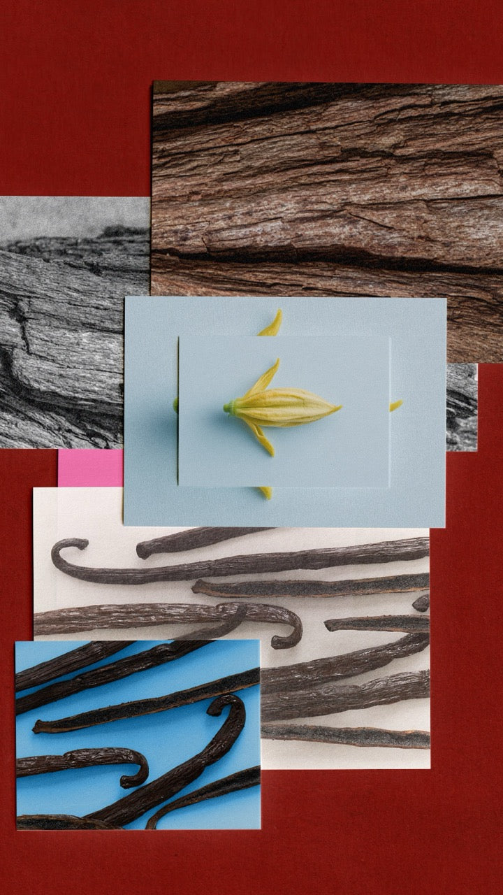 Memo Paris | Cap Camarat X Olimpia Zagnoli | Eau de Parfum