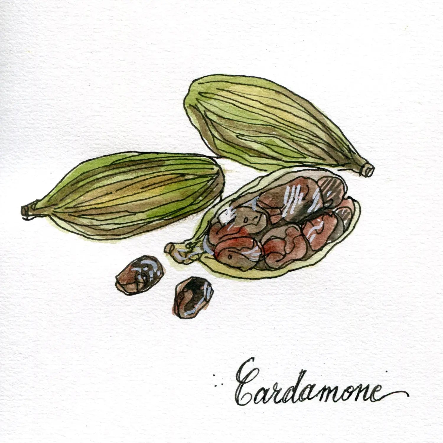 Marfa Spices - OldFocus