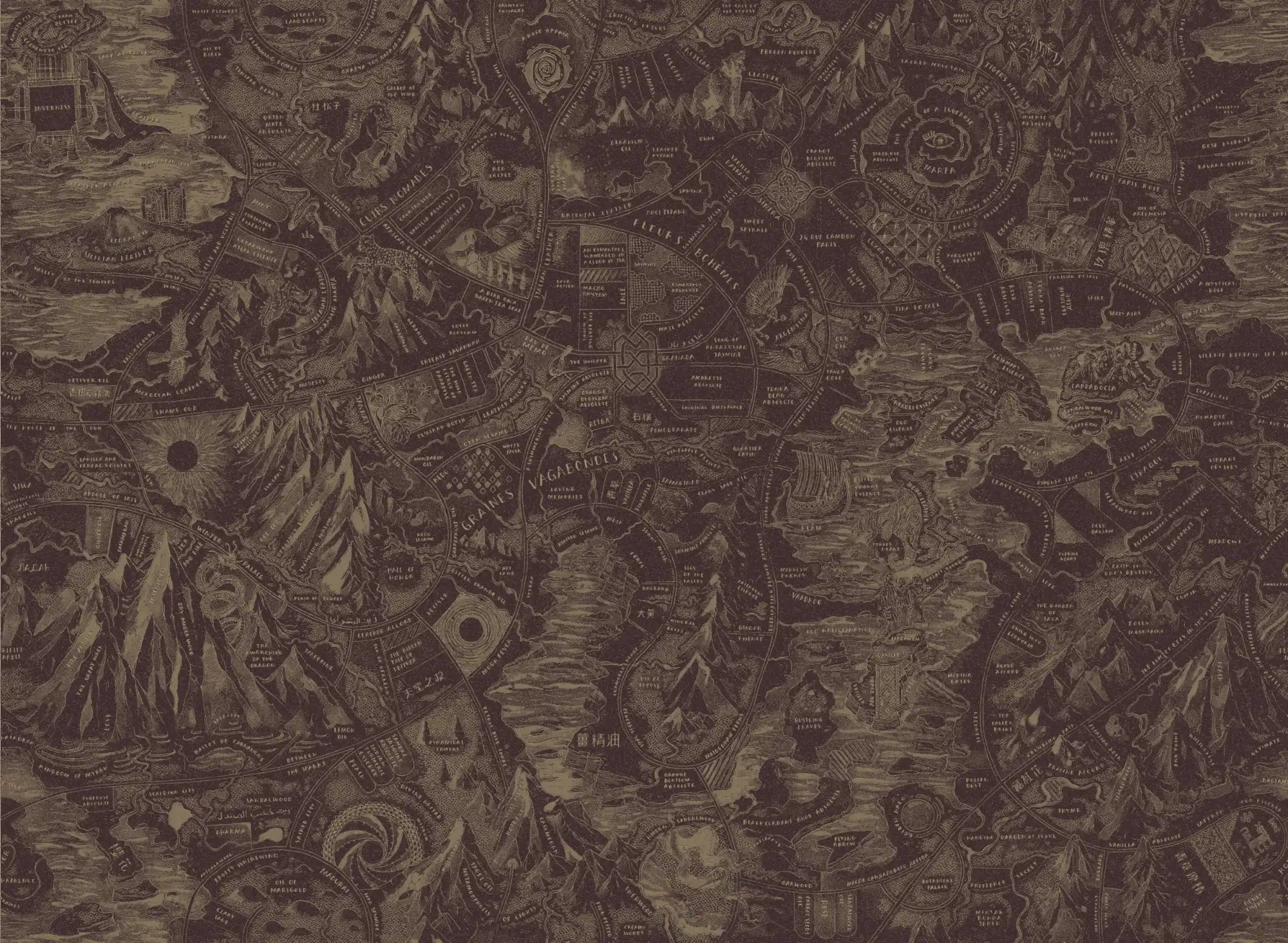 An intricately detailed, monochromatic fantasy map.